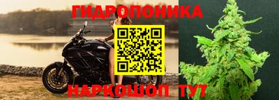 бошки Гудермес